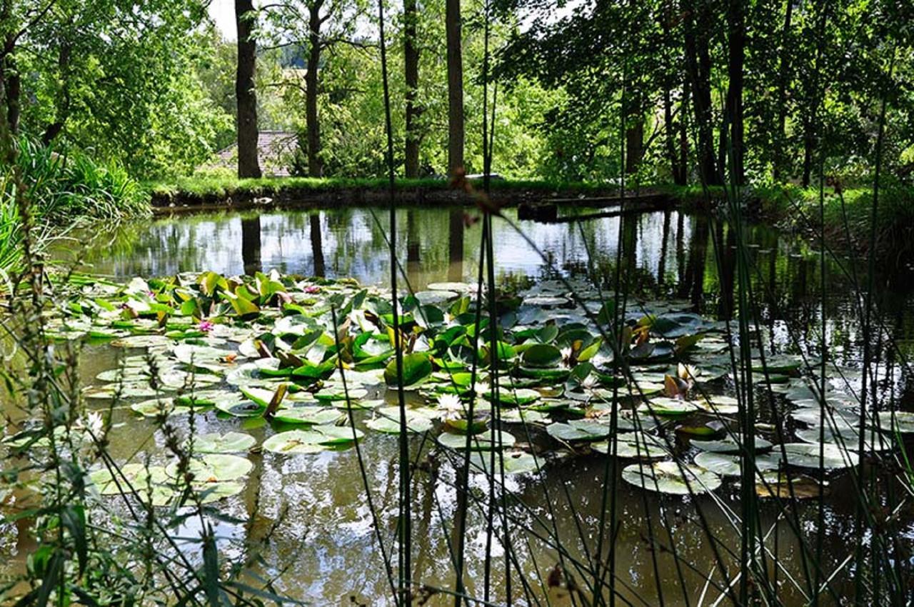 Landhausgarten Bunzmann Berg  Экстерьер фото